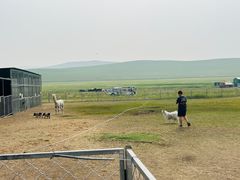 -186彩带河