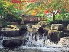-中国茶叶博物馆(双峰馆区)