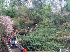 景点-武隆天坑地缝国家地质公园