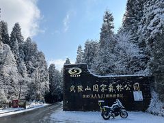 -武陵山森林公园