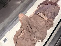 -巴音郭楞蒙古自治州博物馆