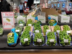 -T11生鲜超市(朝阳公园店)