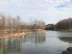 -梁鸿国家湿地公园