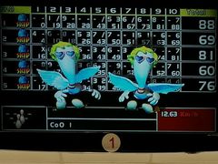 -广州保龄球馆(广州天河体育中心店)