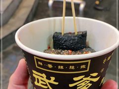 -武爹臭豆腐(坡子街店)