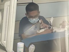 -中农国际动物医院24小时·猫科·骨科·急重症中心