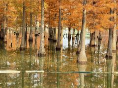 -白鹭湾湿地公园