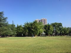 -熙春园