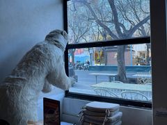 -漆黑觉米粉(三里屯店)