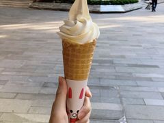 经典豆乳冰淇淋-维维豆奶(金鹰新街口店)