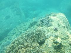 -亚龙湾海底世界