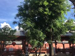 -大理文庙(大理古城)