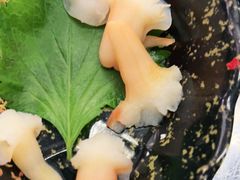 -介里海鲜自助(万达广场太原街店)