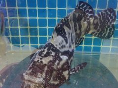 -鑫鸿达·海鲜闽菜热炒小馆(中山路店)