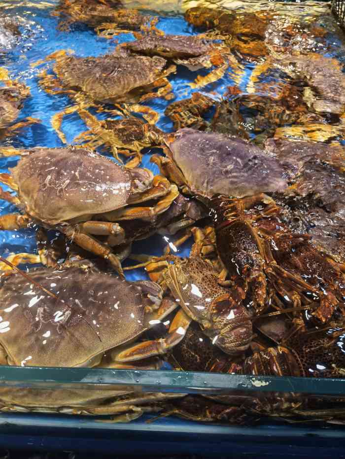 海中鲜广场-"和老公第一次相亲见面就是在这家吃的海鲜,.