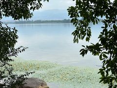 -西昌邛海湿地