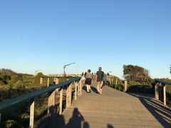 -企鹅岛