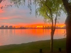 -艾溪湖湿地公园