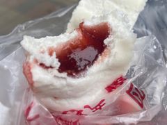 红果糕干-芝兰斋糕干店(平山道店)