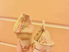 -柠檬车露(卖草地店)