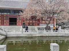 -香山公园