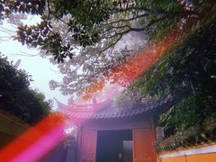 -普陀山风景区-佛顶山