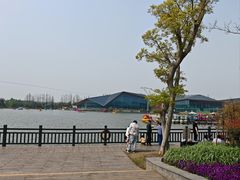 -上海长兴岛郊野公园