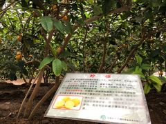 -兰陵国家农业公园