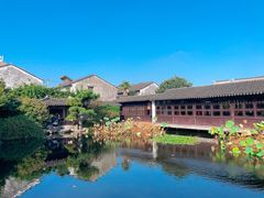 -艺圃