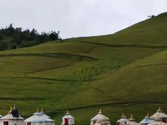 -关山牧场王师烤全羊