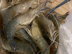 -小象钓虾·营地烧烤(洛溪店)