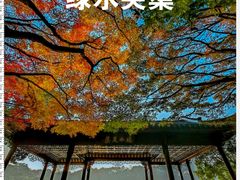 -北山街历史文化街区