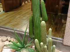 -小城粥道·海胆鲜虾粥(解放广场店)