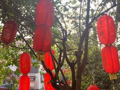 -陈有良尖椒鸡(江津总店)