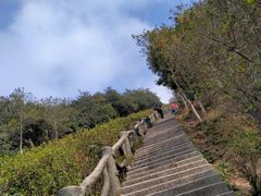 -梧桐山风景名胜区