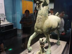 -广西壮族自治区博物馆