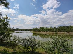 -东郊湿地公园