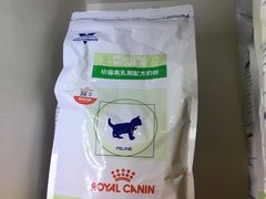-瑞鹏宠物医院·骨科·猫科·内科(第一中心)