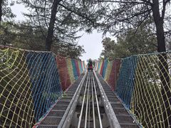 -沂蒙山旅游区云蒙景区(蒙山国家森林公园)
