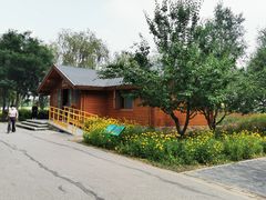 -东郊湿地公园