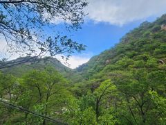 -大岭沟猕猴桃谷风景区