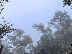 -吉林拉法山