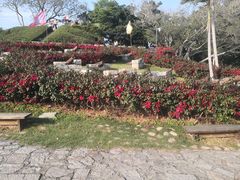 -胡里山炮台
