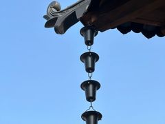 -长田漾湿地公园