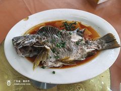 -霞涌市场海鲜摆卖区
