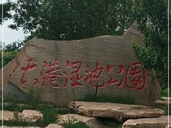 -大港湿地公园