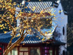 -南京珍珠泉风景区