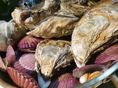 -老家黄墩小错鸡·活海鲜