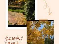 -黄兴公园