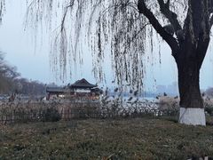 -济南大明湖景区